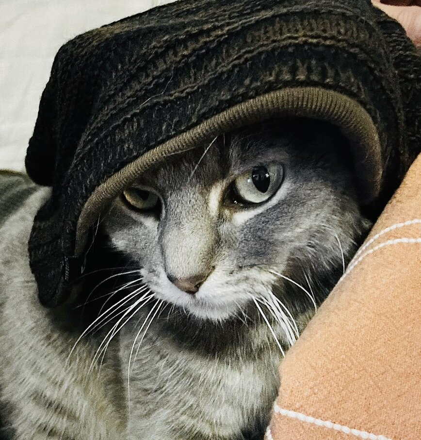 Mellow Rebels